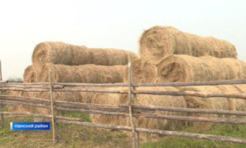 В Якутии подвели итоги кормозаготовки 2025 года