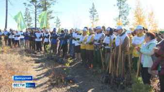 Дьокуускай эргин тыаны баһаар кэннэ чөлүгэр түһэрии