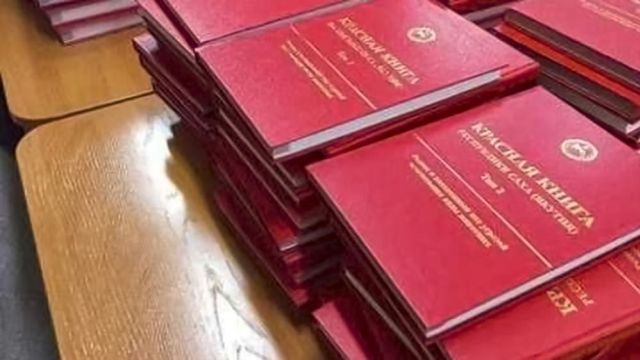В Госдуму внесён законопроект об уголовной ответственности за причинение вреда краснокнижным растениям
