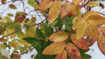 Прогноз погоды в Якутии на 4 октября