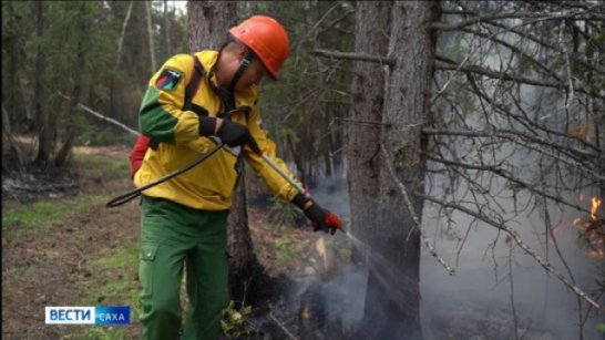 В Якутии за прошедшие сутки ликвидировано  12 лесных пожаров