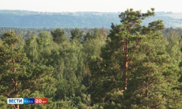 В Якутии с начала пожароопасного сезона ликвидировано 154 лесных пожара