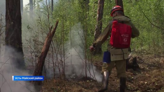 За прошедшие сутки на территории Якутии потушено 13 лесных пожаров