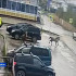 В Олёкминске лошадь на высокой скорости врезалась в припаркованный автомобиль
