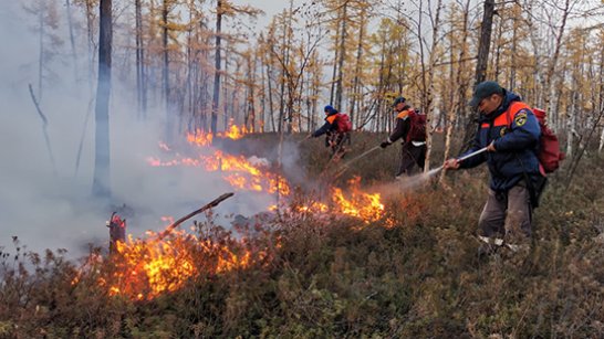 В Якутии за сутки ликвидировано 8 природных пожаров