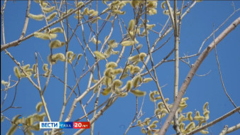 Прогноз погоды в Якутии на 25 мая