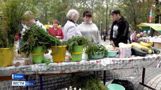 Осенняя выставка-ярмарка прошла в Алдане в рамках празднования Дня города