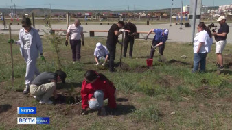 В Якутске участники акции "Сад Победы" высадили саженцы сосны и березы