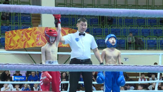 В Якутске проходит чемпионат Дальневосточного округа по кикбоксингу
