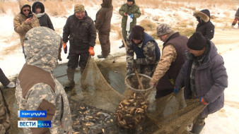 Модукка тойон муҥха