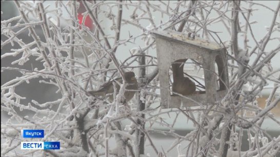 20 декабря. День в истории - даты, события