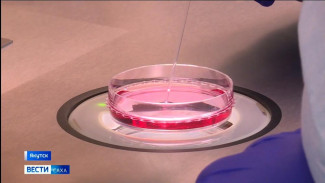 В Якутии для повышения эффективности ЭКО врачи-эмбриологи используют новое оборудование