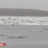 Ледоход на Лене добрался до границ Якутска
