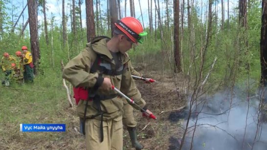 За последние сутки в лесах Якутии ликвидированы два пожара