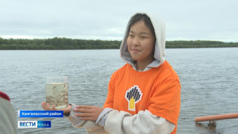 Более 20 тысяч мальков сибирского осетра выпустили в Хангаласском районе Якутии