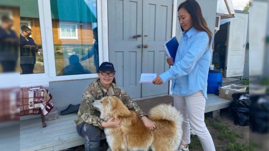 В Якутии инспекторы проводят рейдовые мероприятия по контролю за соблюдением правил содержания собак