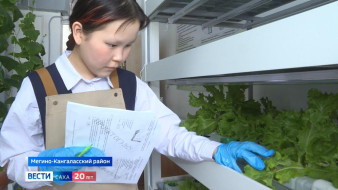 Учащиеся Батаринской школы Мегино-Кангаласского района выращивают овощи и зелень