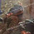 Преступления против здоровья населения. Следственным подразделением УФСБ возбуждены уголовные дела в отношении трех граждан