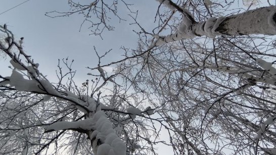 Прогноз погоды в Якутске на 24 января