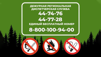 В Якутии действует горячая линия по лесным пожарам